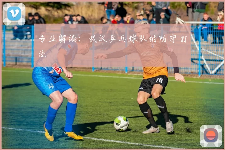 专业解读：武汉乒乓球队的防守打法