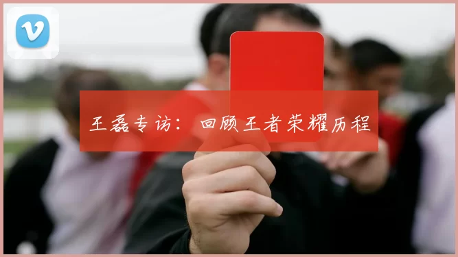 王磊专访：回顾王者荣耀历程