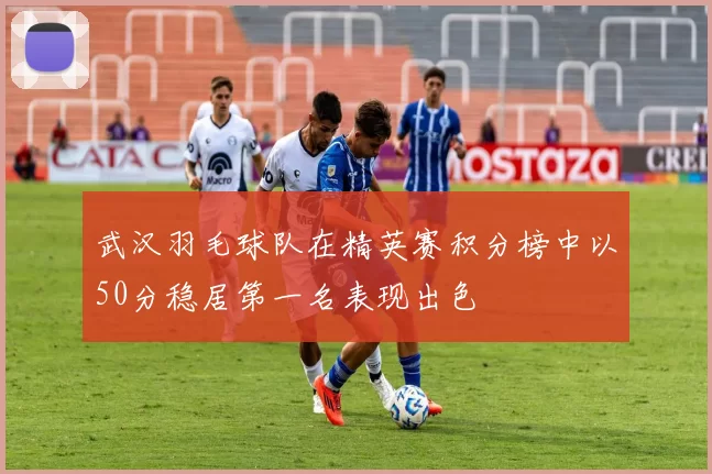 武汉羽毛球队在精英赛积分榜中以50分稳居第一名表现出色