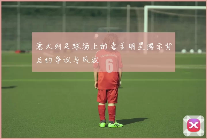 意大利足球场上的毒舌明星揭示背后的争议与风波