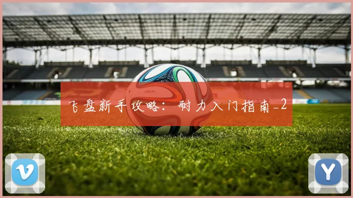 飞盘新手攻略：耐力入门指南_2