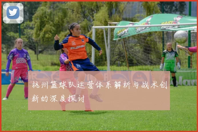 杭州篮球队运营体系解析与战术创新的深度探讨